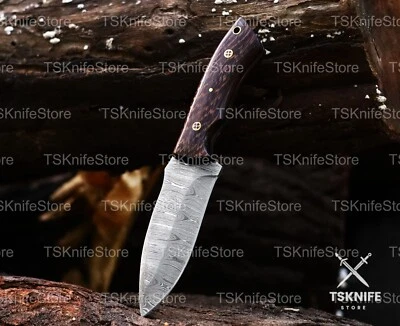 Custom Handmade Damascus Steel Viking Brownie Knife With Leather Sheath - Image 1 of 4