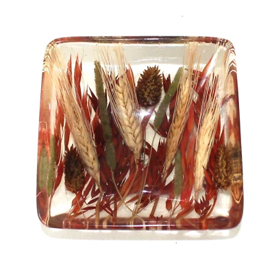 Riccardo Marzi Cuenco Acrílico Trigo Hierba RM Firenze Hecho en Italia Resina Lucite Foto 1 de 4