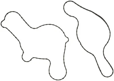 Junta de bomba de agua del motor Mahle para Ford Edge 2007-2012 Foto 1 de 3