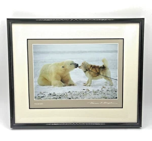 Polar Kiss Thomas D Mangelsen Imágenes de la Naturaleza 8x10 Osos Polares Enmarcados 1994 - Imagen 1 de 8