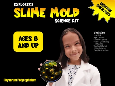 Slime Mold Kit Scienze Educative, Progetto Studio Physarum polycephalum - Immagine 1 di 4