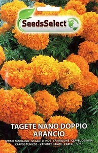 BUSTA SEMI TAGETE NANO ARANCIONE - Foto 1 di 2