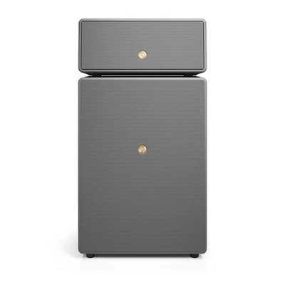 Audio Pro Drumfire II Smart Multiroom Party Speaker–2×20W + 200W Classe D–Grigio - Immagine 1 di 4