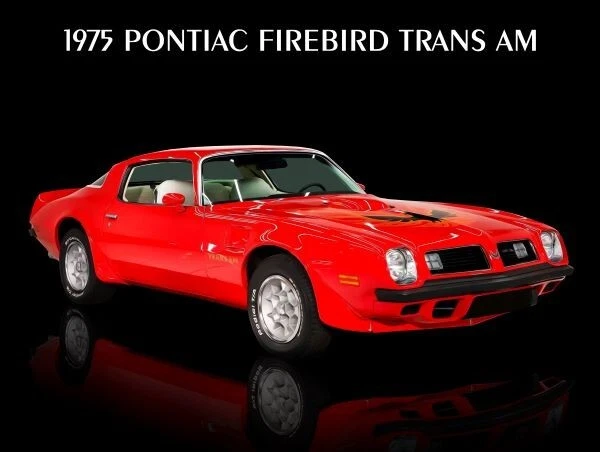 Pontiac Firebird 1975 transmisión automática en rojo nuevo signo de metal: 9x12" envío gratuito Foto 1 de 1