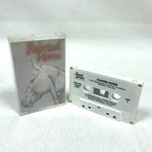 Painted Horse - 1st Nation Pow-Wow Native American Music Cassette Tape - Picture 1 of 2