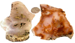 2 Pretty Agates with Inclusions Total 8.1 Ounces Free Ship 1st Picture Wet #3356 - Picture 1 of 6