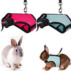 Leads Vest Leashes  Set Rabbit Harness Leash Chest Strap Small Pet  Supplies