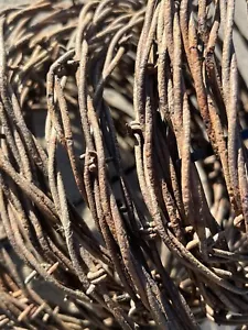 200ft AUTHENTIC RUSTY BARBEDWIRE. Old Sharp western SD rustic wire for crafts. - Picture 1 of 6