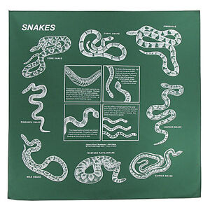 Snakes Bandana