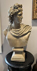 Apollo Belvedere Museum Replica Reproduction Home Garden Sculpture Bust 24.5"