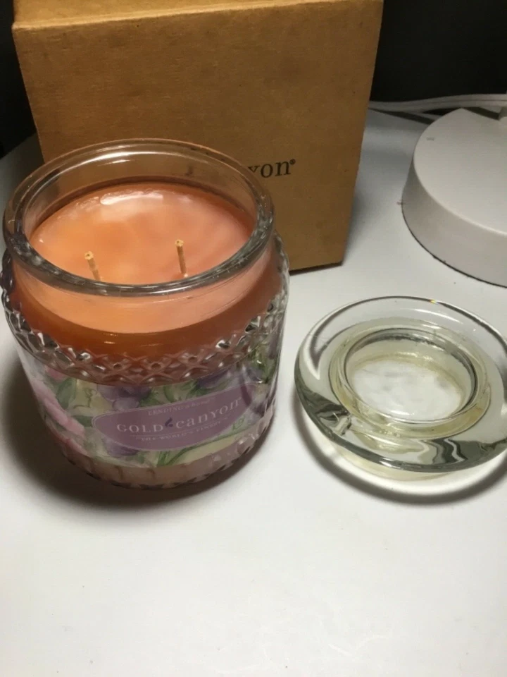 Velas Gold Canyon descontinuadas SWEET GUISANTE 16 OZ doble mecha tarro vela RARA Foto 1 de 1
