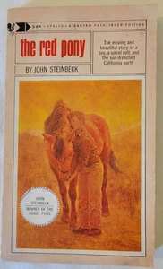 Das rote Pony von John Steinbeck - Bild 1 von 2