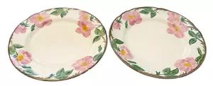 2er Set Franziskaner Rose Teller Salat Dessert Made in USA Blumen Steingut 8 Zoll - Bild 1 von 5