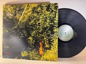 Pop LP ZIEMBA Hope is Never Lo and Behold 2016 Near Mint gatefold - Picture 1 of 3