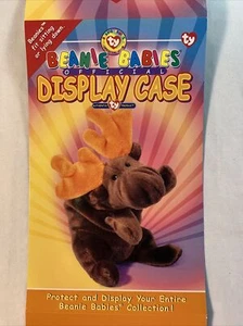 Ty Beanie Babies Display Case Background Card Insert ~ Curley - Picture 1 of 8