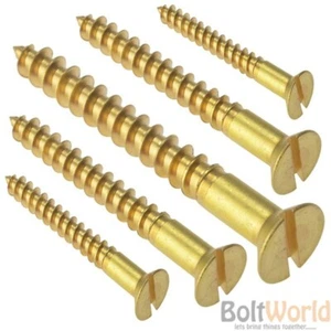 10g SOLID BRASS SLOTTED FLAT COUNTERSUNK HEAD CHIPBOARD WOOD SCREWS WOODSCREWS - Picture 1 of 2