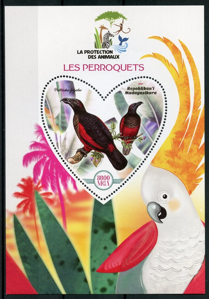 Madagascar 2017 MNH Parrots 1v S/S Perroquets Parrot Bird Birds Stamps - Image 1 of 1