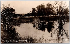 Postcard RPPC Maritzburg South Africa The Bird Sanctuary Pietermaritzburg - Picture 1 of 2