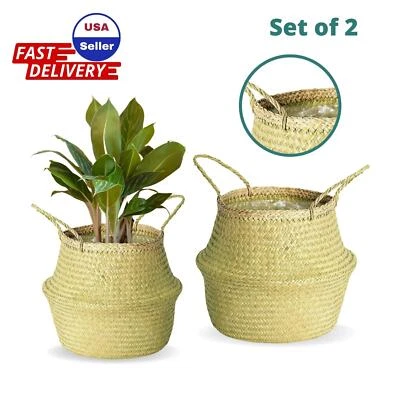 Woven Wicker Seagrass Belly Plant Basket with Plastic Liner for Indoor, Outdoor - Image 1 of 4