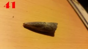 3x Echte BELEMNITEN / Donnerkeile 30 mm Versteinerung Fossilien Millionen Jahre - Bild 1 von 24