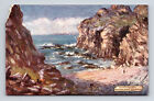 Scotish Cliffs Colonsay Scotland Aoineadh-Na-Muc Raphael Tuck's Oilette Postcard