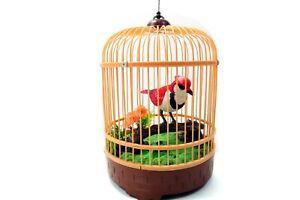 Singing & Chirping Bird In Cage - Realistic Sounds & Movements (Red)