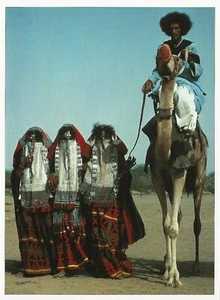 AK Afrika Eritrea Rashaida Hochzeitsgast & Ehefrauen Foto Carol Beckwith postfrisch - Bild 1 von 1