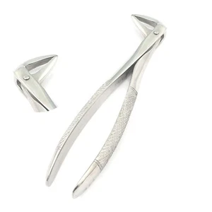 EXTRACTING FORCEPS # 74N DENTAL SURGICAL INSTRUMENTS  - Picture 1 of 5