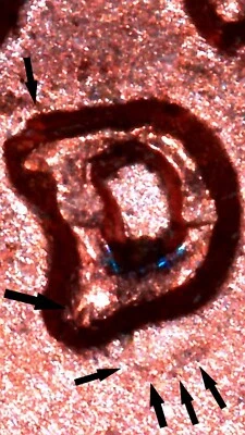 1954 D/D/D RPM#2 North & South  Lincoln Wheat Cent RED Unc- FREE Shipping - Image 1 of 3