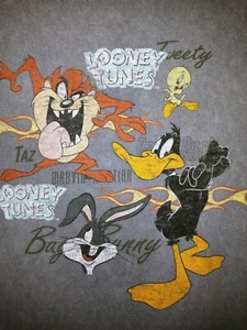 Looney Tunes Grey Graphic TShirt Size S/M Good Condition Clean Nice SEE NOTES - Picture 1 of 4