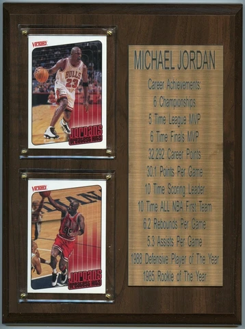 Micheal Jordan Chicago Bulls Career Achievements Basketball Card Plaque 8" x 10" Cover