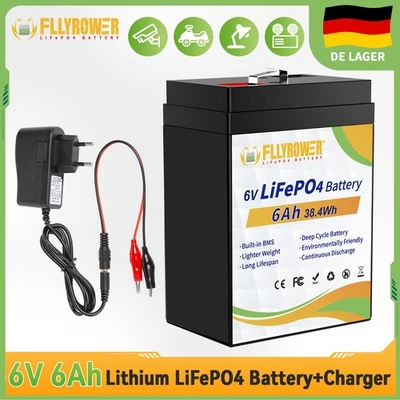 FLLYROWER 6V 6Ah LiFePO4 Mini Akku BMS Lithium Batterie +Ladegerät für Notlicht USV E-Bike