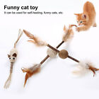 Haustier Spielzeug Mit Katzenminze Mehrzweck-kitten Feder Ball Maus Biss
