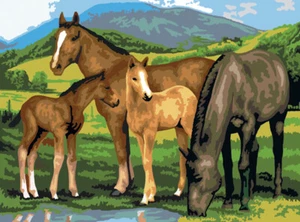 Junior Large Paint By Number Kit 15.25"X11.25" Horse & Foals - Picture 1 of 2