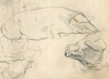 Vintage Bleistift Original Zeichnung Kühe, Schweine, Tiere, Kuhstall