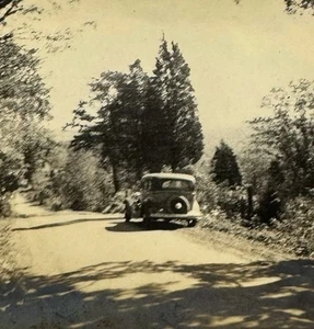 ¿Vintage años 30? Foto Sepia Coche Automóvil Conducción o Bosque Natural Estacionado ÚNICO EN SU CLASE - Imagen 1 de 3