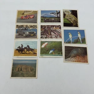 Lote de tarjetas Weet Bix Australia ruedas rápidas coches vida silvestre deportes Indonesia - Imagen 1 de 12