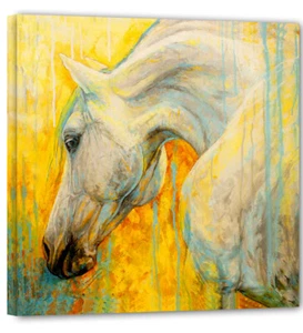 Pferdekopf art Modene Abstrakt Kunst Bild 60x60 Top Aktuel Kunst CV1 - Picture 1 of 2