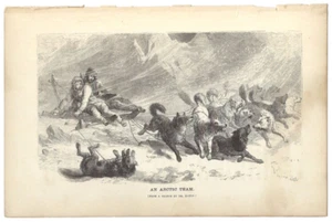 Antique Print An Artic Team North Pole Expedition Hayes 1867 - Picture 1 of 2