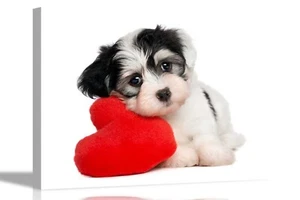 Cute Heart Dog Canvas Wall Art Prints Romantic Love Pictures for Living Room - Picture 1 of 10