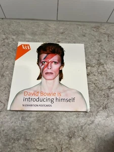 David Bowie V&A limited edition set of 16 postcards - Picture 1 of 3