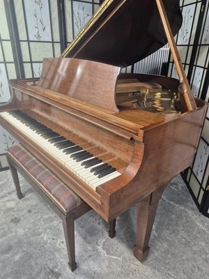 Steinway Baby Grand Modelo S, Nogal, Excelente Estado *Garantía* Foto 1 de 4