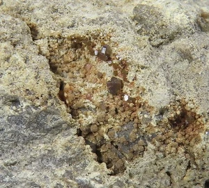 PUCHERIT Kristalle * Schneeberg, Germany, Ex. Kay Robertson Sammlung - Bild 1 von 7