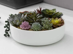 My Gift 8 in. Maceta redonda de cerámica artificial sucelente - Imagen 1 de 12