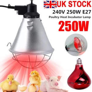 Infrared Heat Lamp Poultry, Puppies, Dog, Kittens Piglets Animals With 250W Bulb - Picture 1 of 14