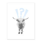 Scottish Highland Hairy Coo Cow Surprised Expression Scotland Canvas Art Print