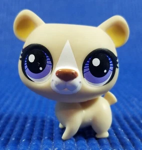 Littlest Pet Shop LPS Authentic # 3294 Cream Tan White Polar Bear Purple Eyes - Picture 1 of 6