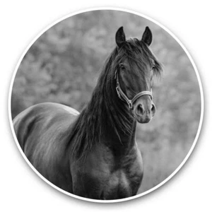 2 x Vinyl Stickers 20cm (bw) - Andalusian Horse Stallion #35254 - Zdjęcie 1 z 8