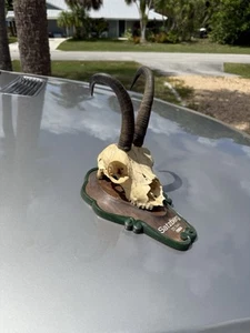 1985 Dated Chamois Black Forest Carved Wood Base Vintage German Trophy - Picture 1 of 12