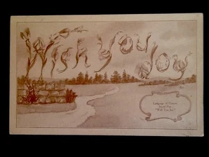 c1910 "Wish You Joy" Sweet Pea Language of Flowers, Rare Vintage DB Postcard - Picture 1 of 2